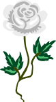 Rose 17 (white)